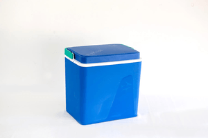 Cooler 32 L